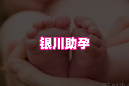 东莞助孕网站 1