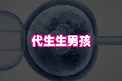 东莞助孕网站 4